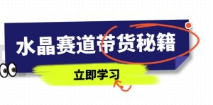 水晶赛道带货秘籍，国学结合、短视频起号、拍摄技巧、直播话术等内容-必智轻创社