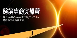 跨境电商实操营:独立站/TikTok/谷歌广告/YouTube,精准选品与高效引流-必智轻创社