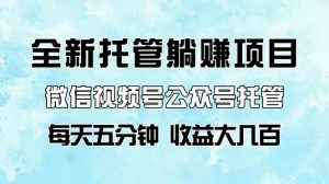 全新托管躺赚项目,微信视频号公众号托管代运营,每天五分钟,收益大几百-必智轻创社