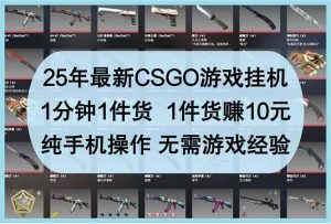 25年最新CSGO游戏挂机,1分钟1件货,1件货赚10元 纯手机操作 无需游戏经验-必智轻创社