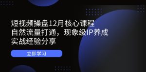 短视频操盘12月核心课程：自然流量打通，现象级IP养成，实战经验分享-必智轻创社
