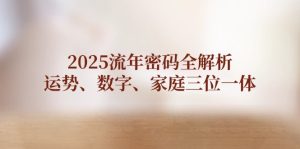 2025流年密码全解析,运势、数字、家庭三位一体-必智轻创社