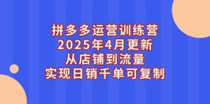 拼多多运营训练营2025年4月更新，从店铺到流量，实现日销千单可复制-必智轻创社