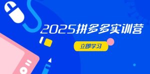2025拼多多实训营:深度剖析运营关键,助力电商人快速提升-必智轻创社