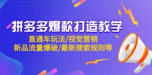 拼多多爆款打造教学：直通车玩法/视觉营销/新品流量爆破/最新搜索规则等-必智轻创社