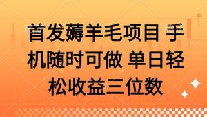薅羊毛项目 手机随时可做 单日轻松收益三位数-必智轻创社