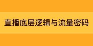 直播底层逻辑与流量密码:定位模型+案例拆解,急速流承接与数据优化全攻略-必智轻创社