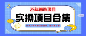 2025年实操六大项目实操演练,挂机类型,AI直播类型,轻资产创业类型,…-必智轻创社