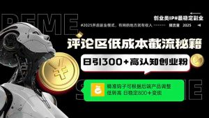 评论区低成本引流秘籍，精准钩子直击用户，单账号日增300+创业粉，日稳…-必智轻创社
