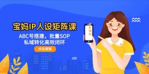 宝妈IP人设矩阵课：ABC号搭建，批量SOP，私域转化高效闭环-必智轻创社