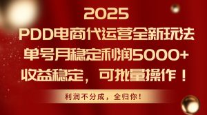 2025PDD电商代运营全新玩法,单号月稳定利润5000+,收益稳定,可批量操作-必智轻创社