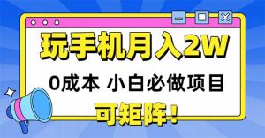 玩玩手机月入20000+,0成本小白必做项目,可矩阵-必智轻创社