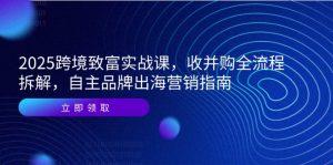 2025跨境致富实战课，收并购全流程拆解，自主品牌出海营销指南-必智轻创社
