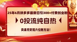 25年6月拼多多最新日引300+付费创业粉,0投流纯自热 卖课月变现六位数方法-必智轻创社