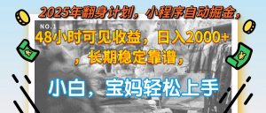 2025年翻身计划,小程序自动掘金48小时可见收益,日入2000+,长期稳定…-必智轻创社