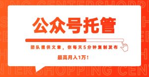 【公众号托管 】我提供文章,你每天5分钟复制发布,最高月入1W-必智轻创社