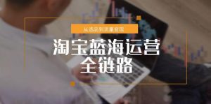 淘宝蓝海运营全链路,从选品到流量变现,小类目突围完整方案-必智轻创社