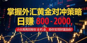 掌握外汇黄金对冲策略,日赚 800 – 2000,小众高回报创业机会,助你实…-必智轻创社