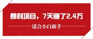 最新暴利项目，每单收益轻松在300以上，7天赚了2.4万-必智轻创社