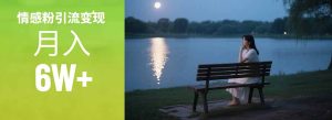 情感粉引流变现实操课:单月变现6w+,情感粉引流变现实操课-必智轻创社