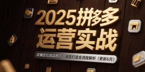 2025拼多多运营实战:店铺定位选品技巧,爆款打造全流程解析(更新6月)-必智轻创社