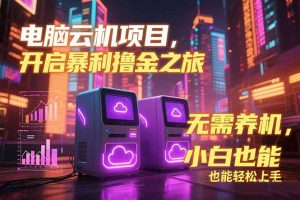 电脑云机项目 暴力撸金玩法，不需要养机 配置没有要求 单机100个窗口一…-必智轻创社