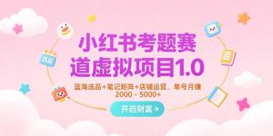 小红书考题赛道虚拟项目1.0，蓝海选品+笔记矩阵+店铺运营，单号月赚5000+-必智轻创社