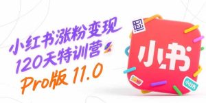 小红书涨粉变现120天特训营Pro版11.0：从0到1掌握平台运营,内容制作和变现-必智轻创社