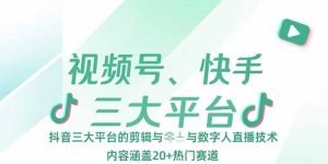 视频号、快手、抖音三大平台的剪辑与数字人直播技术，内容涵盖20+热门赛道-必智轻创社