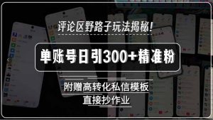 评论区野路子玩法揭秘!单账号日引300+精准粉,附赠高转化私信模板,直…-必智轻创社