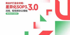 商业IP打造全攻略：差异化SOP3.0流程，短视频协议模板，婚恋项目实战案例-必智轻创社