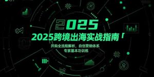 2025跨境出海实战指南,并购全流程解析,自创营销体系,专家基本功训练-必智轻创社
