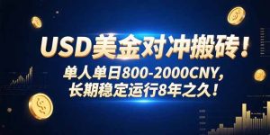 USD美金对冲搬砖!单人单日800-2000CNY，长期稳定运行8年之久!-必智轻创社