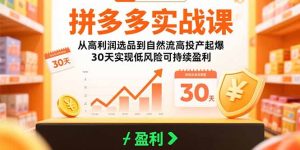 拼多多实战课：从高利润选品到自然流高投产起爆 30天实现低风险可持续盈利-必智轻创社
