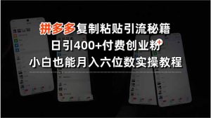 拼多多复制粘贴引流秘籍，日引400+付费创业粉，小白也能月入六位数实操…-必智轻创社