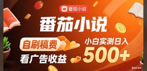 稳定3年官方番茄小说自刷稿费小白单日500+-必智轻创社