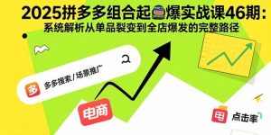 2025拼多多组合起爆实战课46期:系统解析从单品裂变到全店爆发的完整路径-必智轻创社