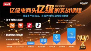 亿级电商头部卖家的实战课程:涵盖多平台玩法,实现从0到亿级规模的跃迁-必智轻创社