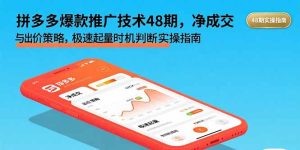 拼多多爆款推广技术48期,净成交与出价策略,极速起量时机判断实操指南-必智轻创社