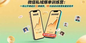 微信私域爆单训练营:一场公开课成交33单案例,99元自动训练营批量变现术-必智轻创社